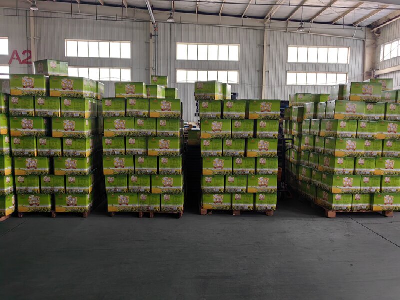 臨沂到瓊結(jié)物流專線